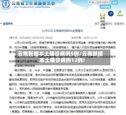 云南新增本土确诊病例5例/云南新增本土确诊病例12例!-第2张图片