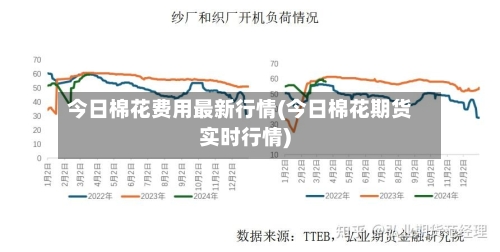 今日棉花费用最新行情(今日棉花期货实时行情)-第2张图片