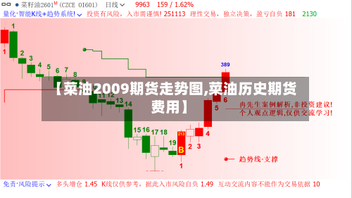 【菜油2009期货走势图,菜油历史期货费用】-第2张图片