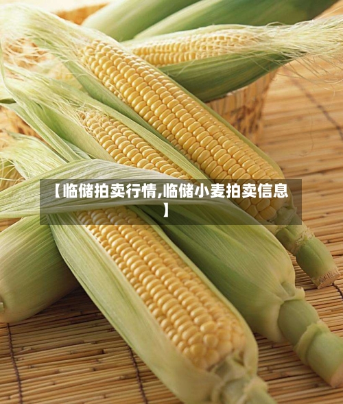 【临储拍卖行情,临储小麦拍卖信息】