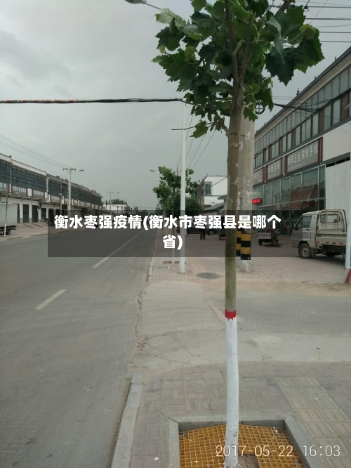 衡水枣强疫情(衡水市枣强县是哪个省)