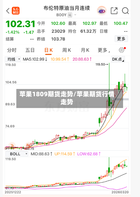 苹果1809期货走势/苹果期货行情走势-第3张图片