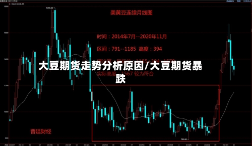 大豆期货走势分析原因/大豆期货暴跌