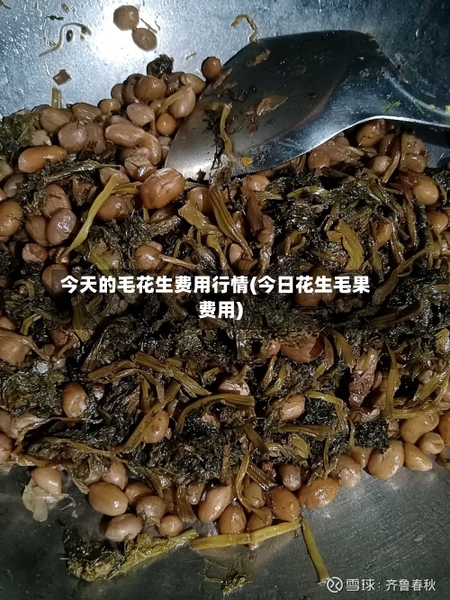 今天的毛花生费用行情(今日花生毛果费用)-第2张图片