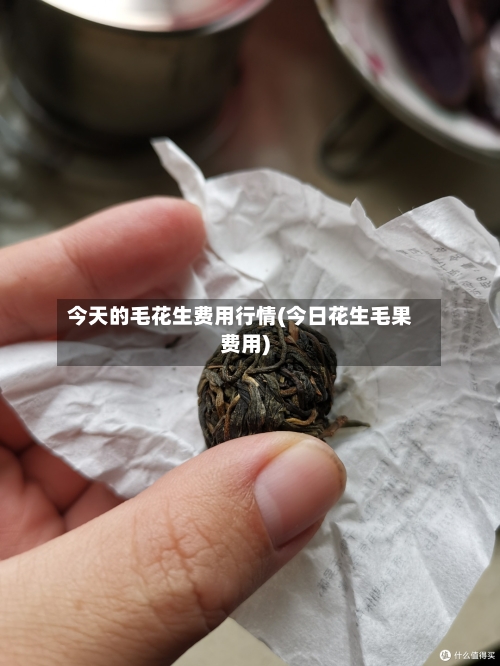 今天的毛花生费用行情(今日花生毛果费用)