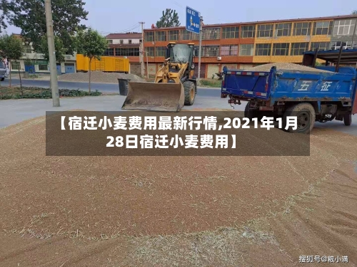 【宿迁小麦费用最新行情,2021年1月28日宿迁小麦费用】