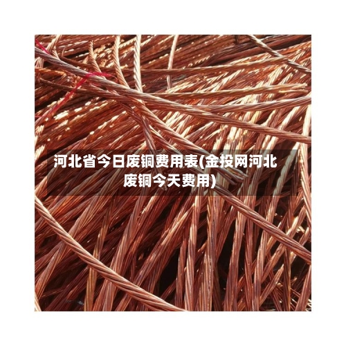 河北省今日废铜费用表(金投网河北废铜今天费用)
