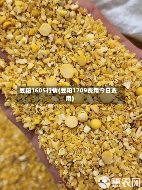 豆粕1605行情(豆粕1709费用今日费用)-第3张图片