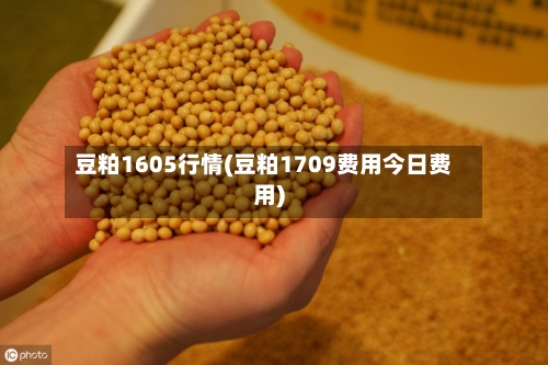 豆粕1605行情(豆粕1709费用今日费用)-第2张图片