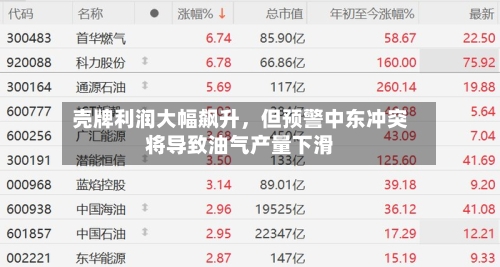 壳牌利润大幅飙升，但预警中东冲突将导致油气产量下滑