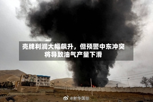 壳牌利润大幅飙升	，但预警中东冲突将导致油气产量下滑-第3张图片