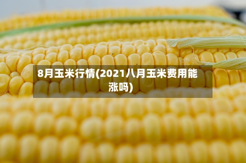 8月玉米行情(2021八月玉米费用能涨吗)