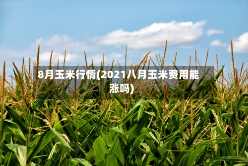 8月玉米行情(2021八月玉米费用能涨吗)-第2张图片