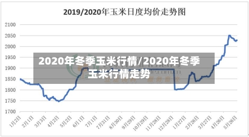 2020年冬季玉米行情/2020年冬季玉米行情走势-第2张图片