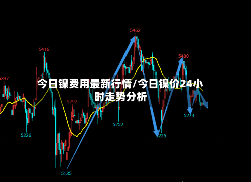 今日镍费用最新行情/今日镍价24小时走势分析-第2张图片