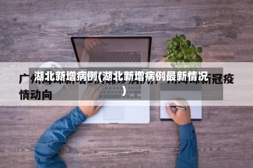 湖北新增病例(湖北新增病例最新情况)-第2张图片