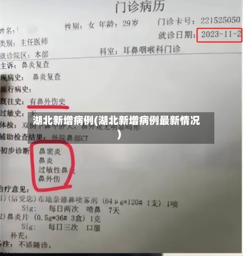 湖北新增病例(湖北新增病例最新情况)