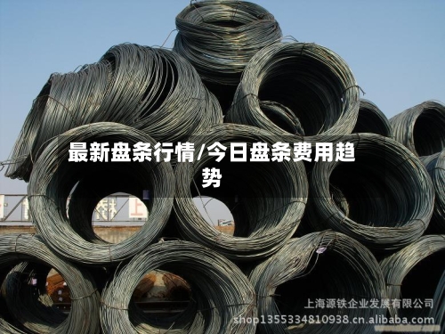 最新盘条行情/今日盘条费用趋势-第2张图片