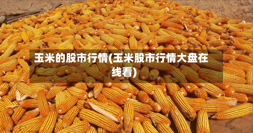 玉米的股市行情(玉米股市行情大盘在线看)