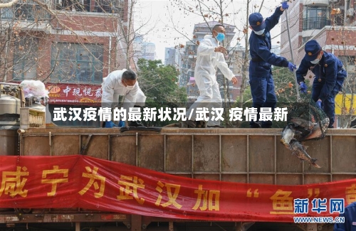 武汉疫情的最新状况/武汉 疫情最新