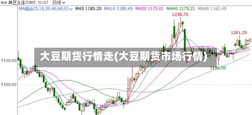 大豆期货行情走(大豆期货市场行情)-第2张图片