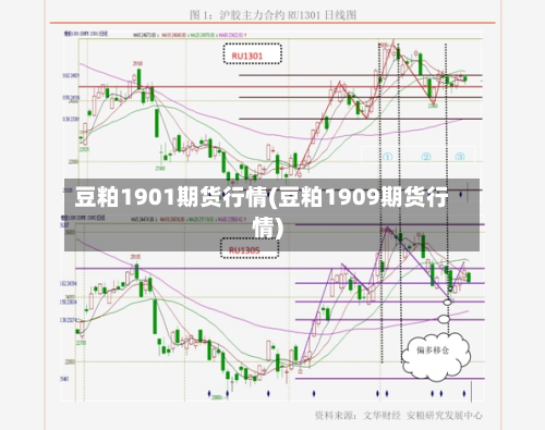 豆粕1901期货行情(豆粕1909期货行情)