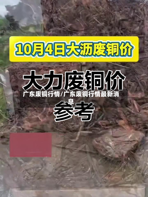 广东废铜行情/广东废铜行情最新消息