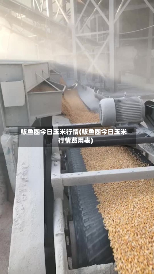 鲅鱼圈今日玉米行情(鲅鱼圈今日玉米行情费用表)-第3张图片