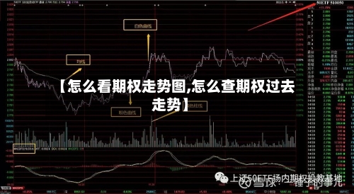 【怎么看期权走势图,怎么查期权过去走势】