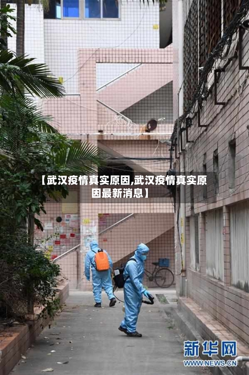 【武汉疫情真实原因,武汉疫情真实原因最新消息】-第2张图片
