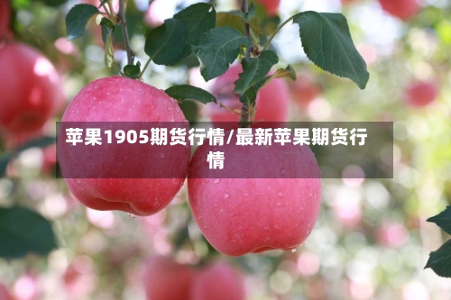 苹果1905期货行情/最新苹果期货行情-第2张图片