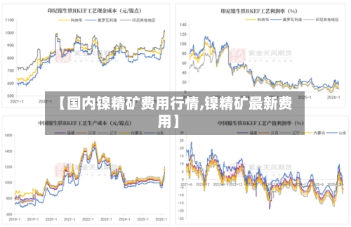 【国内镍精矿费用行情,镍精矿最新费用】