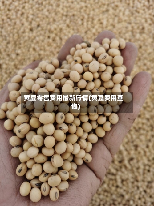 黄豆零售费用最新行情(黄豆费用查询)