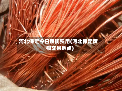 河北保定今日废铜费用(河北保定废铜交易地点)-第3张图片