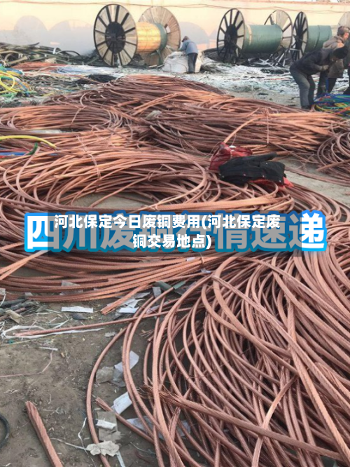 河北保定今日废铜费用(河北保定废铜交易地点)-第2张图片