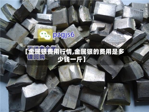 【金属银费用行情,金属银的费用是多少钱一斤】-第2张图片