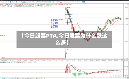 【今日股票PTA,今日股票为什么跌这么多】-第2张图片
