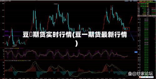 豆粨期货实时行情(豆一期货最新行情)-第3张图片
