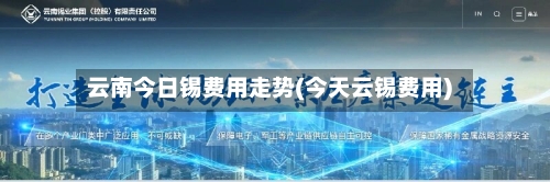 云南今日锡费用走势(今天云锡费用)-第2张图片