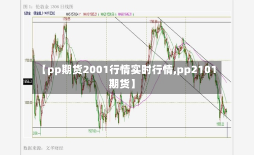 【pp期货2001行情实时行情,pp2101期货】-第2张图片