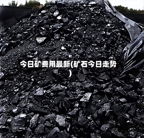 今日矿费用最新(矿石今日走势)-第2张图片