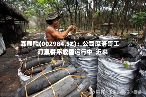 森麒麟(002984.SZ)：公司摩洛哥工厂正有序放量运行中  近来订单供不应求