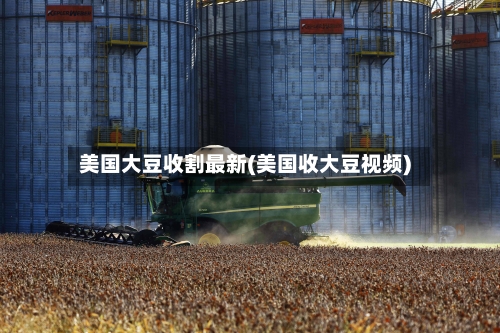 美国大豆收割最新(美国收大豆视频)
