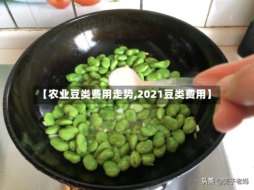 【农业豆类费用走势,2021豆类费用】