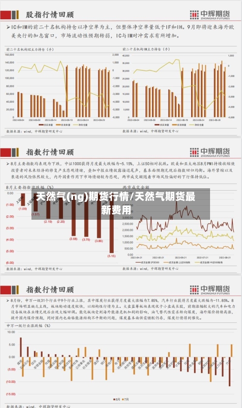 天然气(ng)期货行情/天然气期货最新费用