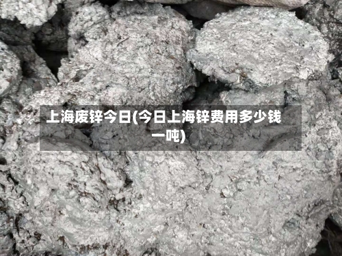 上海废锌今日(今日上海锌费用多少钱一吨)