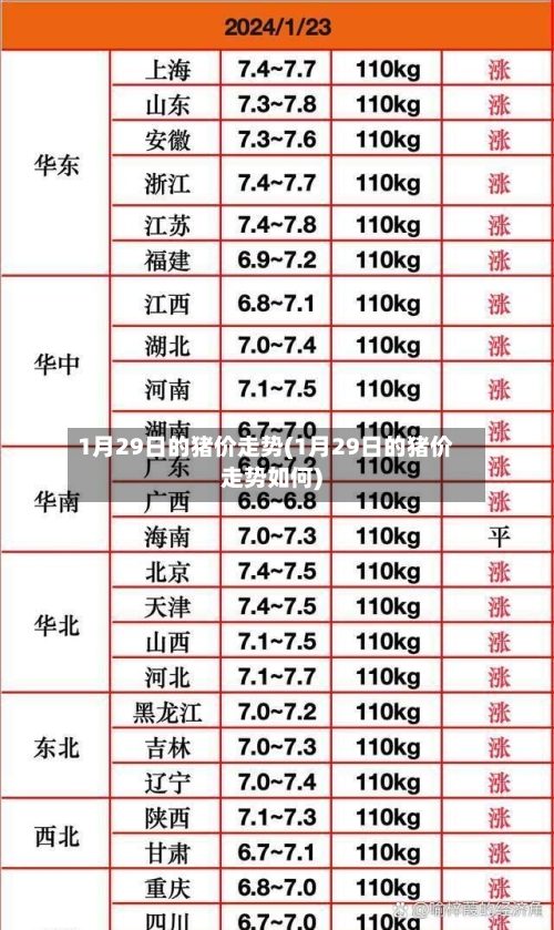 1月29日的猪价走势(1月29日的猪价走势如何)
