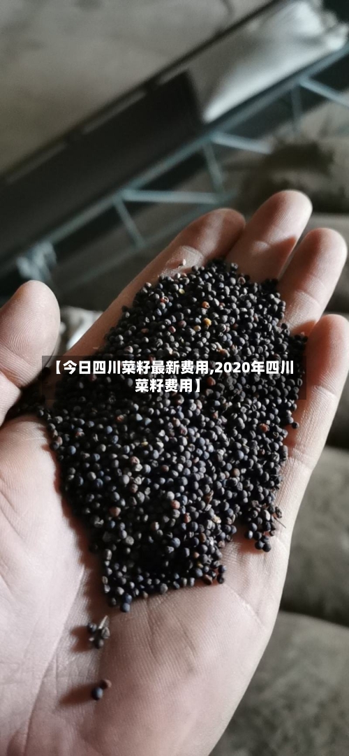 【今日四川菜籽最新费用,2020年四川菜籽费用】-第2张图片