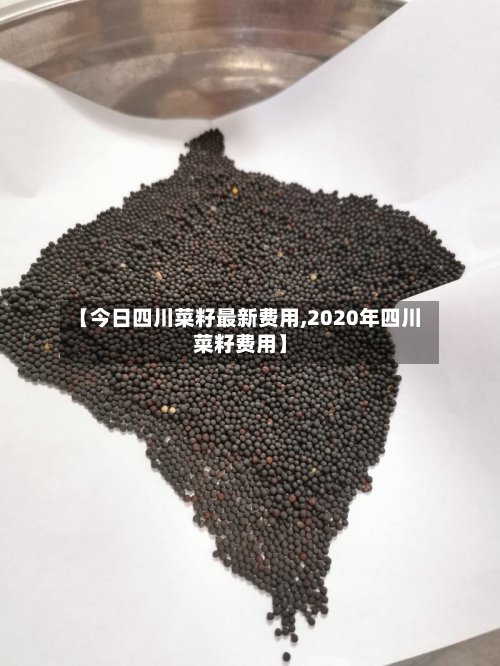 【今日四川菜籽最新费用,2020年四川菜籽费用】