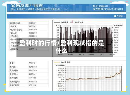 盈利时的行情/盈利现状指的是什么